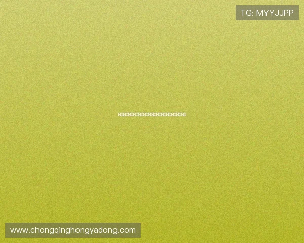 乐东胜体育和滔博比在世界杯期间的战术布局及比赛预测分析