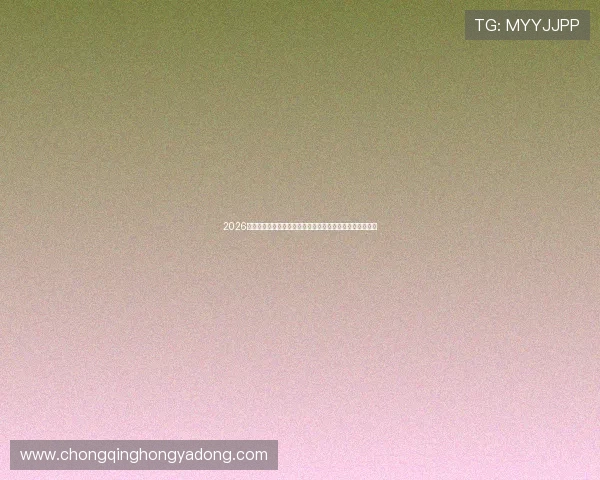 2026世界杯波黑与卡塔尔队阵型演变及其对比赛结果的影响详解